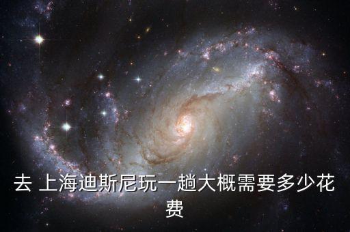 去 上海迪斯尼玩一趟大概需要多少花費