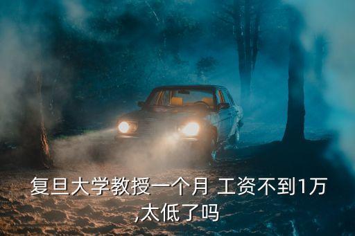  復(fù)旦大學(xué)教授一個(gè)月 工資不到1萬(wàn),太低了嗎