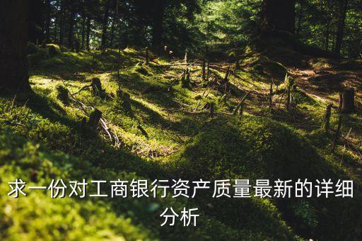 求一份對工商銀行資產(chǎn)質(zhì)量最新的詳細分析