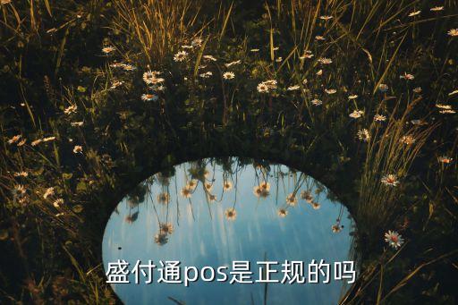 上海盛付通電子支付服務有限公司客戶備付金