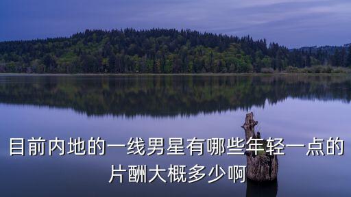 目前內(nèi)地的一線男星有哪些年輕一點(diǎn)的 片酬大概多少啊