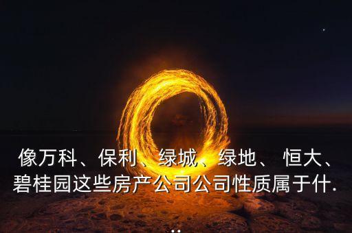 像萬科、保利、綠城、綠地、 恒大、碧桂園這些房產(chǎn)公司公司性質(zhì)屬于什...