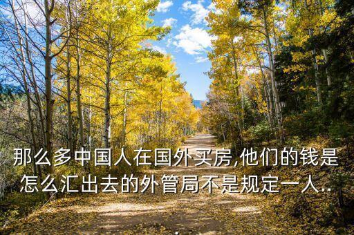 中國的財富轉(zhuǎn)移,中國財富轉(zhuǎn)移少數(shù)民企老板,與外企