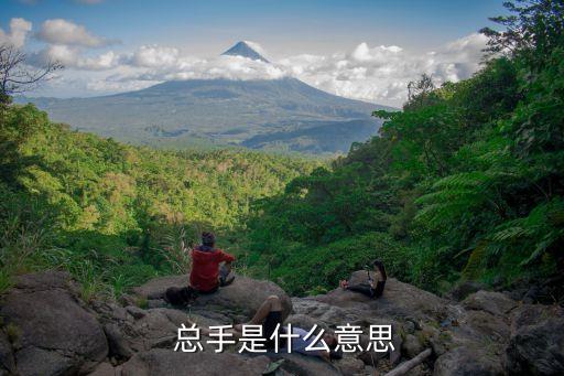 股票總手數(shù)多好嗎