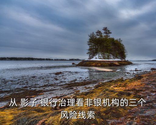 中國影子影子銀行發(fā)展模式和監(jiān)管