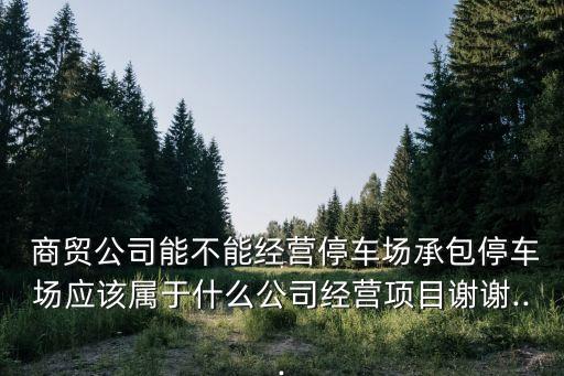  商貿(mào)公司能不能經(jīng)營停車場承包停車場應(yīng)該屬于什么公司經(jīng)營項目謝謝...