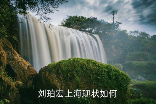 劉珀宏上?，F(xiàn)狀如何
