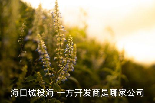 ?？诔峭逗?一方開發(fā)商是哪家公司