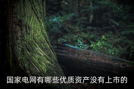 國家電網(wǎng)有哪些優(yōu)質資產沒有上市的