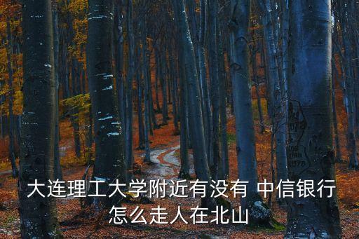  大連理工大學附近有沒有 中信銀行怎么走人在北山