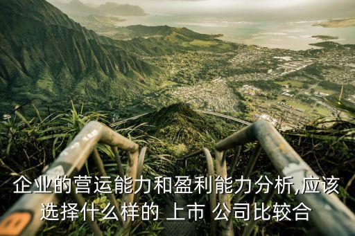 企業(yè)的營(yíng)運(yùn)能力和盈利能力分析,應(yīng)該選擇什么樣的 上市 公司比較合