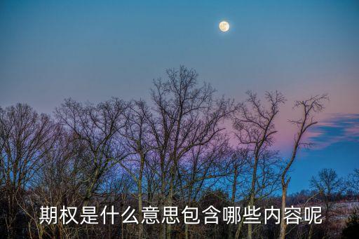  期權是什么意思包含哪些內容呢