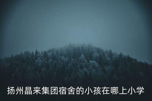 揚州晶來集團宿舍的小孩在哪上小學