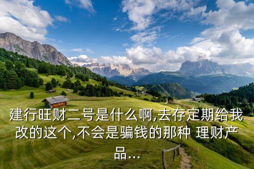 建行旺財(cái)二號是什么啊,去存定期給我改的這個(gè),不會是騙錢的那種 理財(cái)產(chǎn)品...