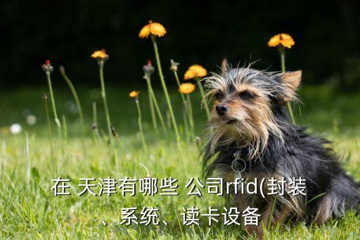 在 天津有哪些 公司rfid(封裝、系統(tǒng)、讀卡設(shè)備