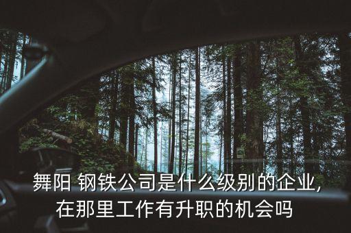  舞陽(yáng) 鋼鐵公司是什么級(jí)別的企業(yè),在那里工作有升職的機(jī)會(huì)嗎