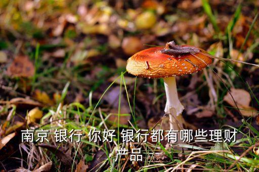 南京 銀行 你好 銀行都有哪些理財(cái)產(chǎn)品