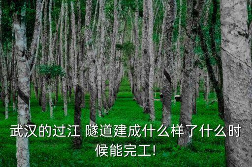 武漢的過江 隧道建成什么樣了什么時(shí)候能完工!