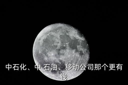 中石化、中 石油、移動公司那個更有錢