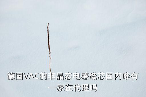 德國VAC的非晶態(tài)電感磁芯國內唯有一家在代理嗎
