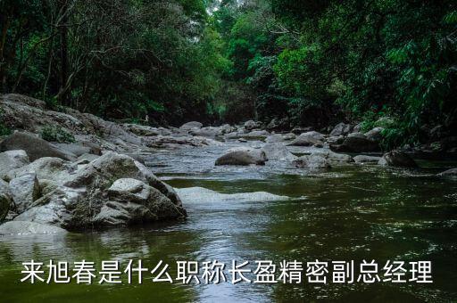 來(lái)旭春是什么職稱長(zhǎng)盈精密副總經(jīng)理