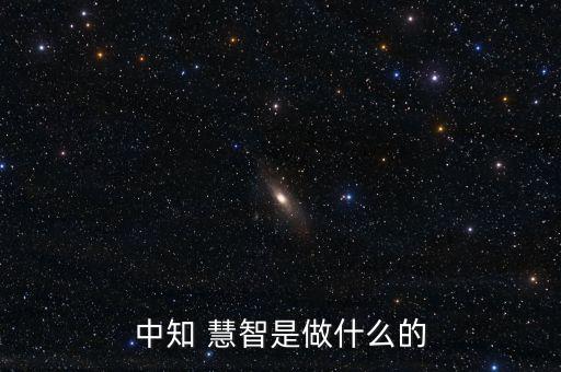 慧智投資1號結(jié)構(gòu)信托計(jì)劃