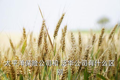 泛華集團(tuán)股東,泛華保險(xiǎn)服務(wù)集團(tuán)