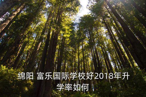  綿陽 富樂國際學校好2018年升學率如何