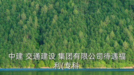 中建 交通建設(shè) 集團有限公司待遇福利(?？? class=