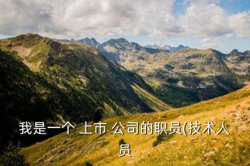 我是一個 上市 公司的職員(技術人員