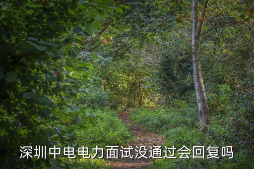深圳中電電力面試沒通過會回復嗎
