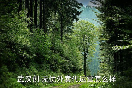  武漢創(chuàng) 無憂外賣代運(yùn)營(yíng)怎么樣