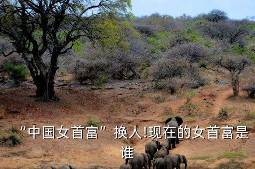 “中國女首富”換人!現(xiàn)在的女首富是誰