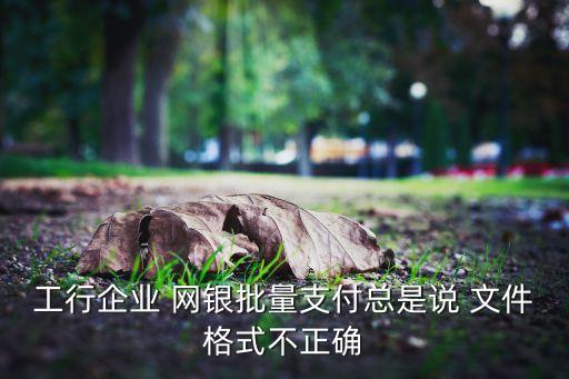 青島銀行企業(yè)網(wǎng)銀文件導入失敗,青島農(nóng)商銀行企業(yè)網(wǎng)銀安裝