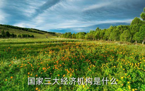 國(guó)家三大經(jīng)濟(jì)機(jī)構(gòu)是什么