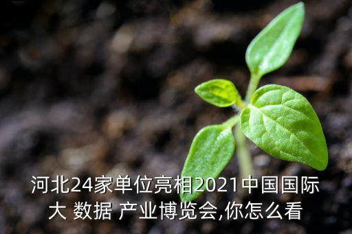 河北24家單位亮相2021中國國際大 數(shù)據(jù) 產(chǎn)業(yè)博覽會(huì),你怎么看