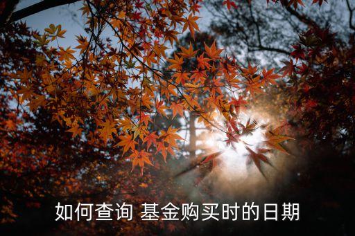 如何查詢 基金購買時的日期