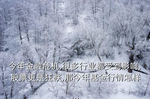今年金融危機(jī),很多行業(yè)都受到影響, 股票更是狂跌,那今年基金行情怎樣...