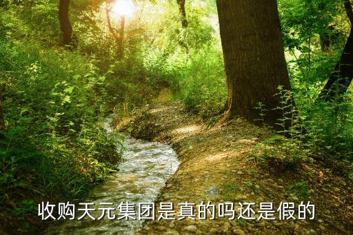 收購天元集團(tuán)是真的嗎還是假的