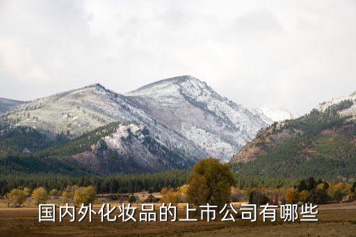 雅芳中國屬于500強嗎