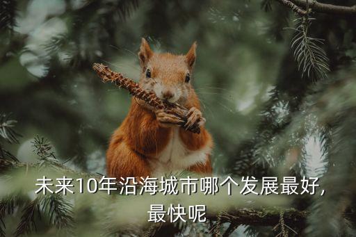  未來10年沿海城市哪個(gè)發(fā)展最好,最快呢