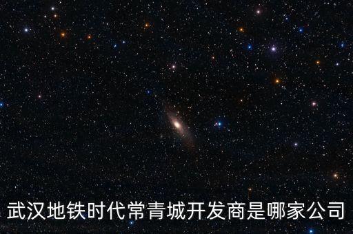 武漢地鐵時(shí)代常青城開(kāi)發(fā)商是哪家公司