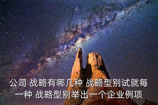 上海大眾的業(yè)務層戰(zhàn)略是什么
