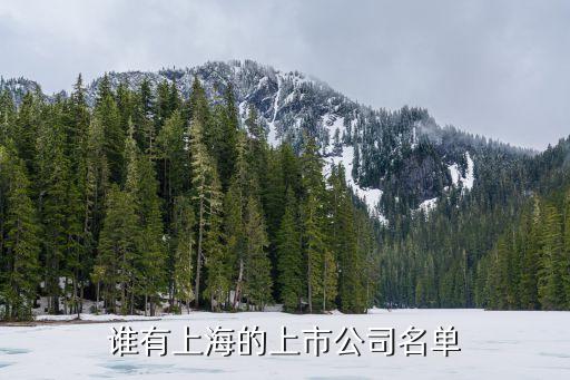 誰有上海的上市公司名單