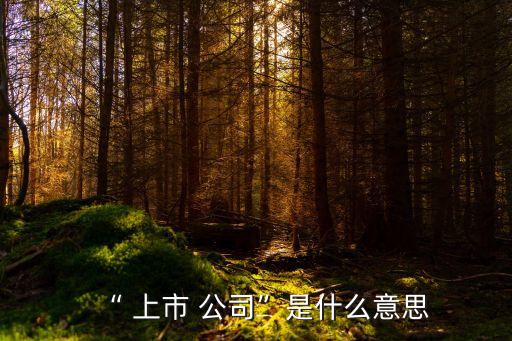 “ 上市 公司”是什么意思