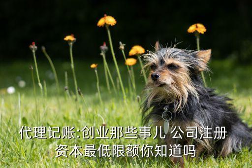 代理記賬:創(chuàng)業(yè)那些事兒 公司注冊(cè) 資本最低限額你知道嗎