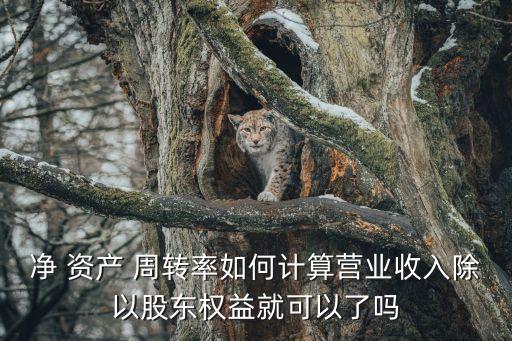 凈 資產(chǎn) 周轉(zhuǎn)率如何計算營業(yè)收入除以股東權益就可以了嗎