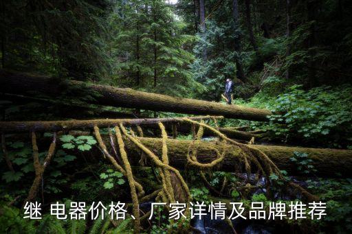 繼 電器價(jià)格、廠家詳情及品牌推薦