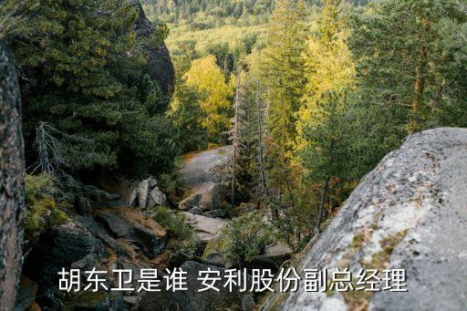 胡東衛(wèi)是誰(shuí) 安利股份副總經(jīng)理