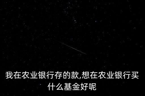 我在農(nóng)業(yè)銀行存的款,想在農(nóng)業(yè)銀行買(mǎi)什么基金好呢